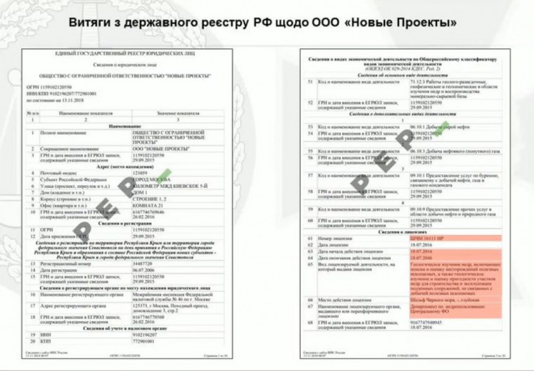 Выдержки из госреестра РФ относительно ООО "Новые проекты"