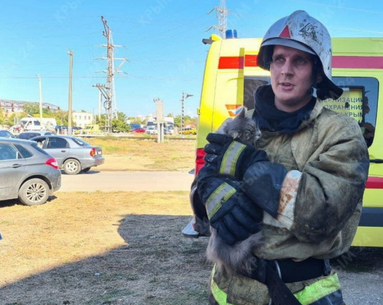 Кримські вогнеборці не забули похизуватися на камеру врятованим котиком